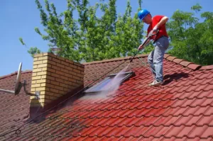 soft washing roof